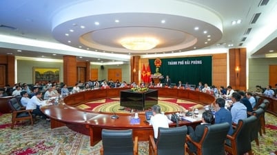 Hai Phong promotes Vietnam - Korea cooperation in technology and high-quality human resources