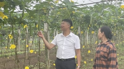 Hội Nông dân Quảng Ninh: Khơi dậy phong trào thi đua từ vai trò của cán bộ và tổ chức Hội