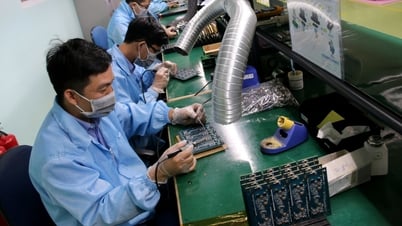 مدينة هوشي منه تقترح 14 مشكلة رئيسية في العلوم والتكنولوجيا في عام 2025
