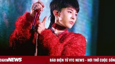 Web bán vé concert có G-Dragon quá tải, phải tạm dừng để khắc phục