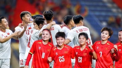 Tuyển U22 Việt Nam và đội tuyển nữ Việt Nam thuộc nhóm hạt giống số 1 tại SEA Games 33