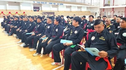 Hơn 100 võ sư, huấn luyện viên tập huấn chuyên môn Võ cổ truyền Bình Định