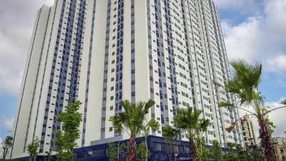 通知284/TB-VP：違法賃貸および家賃未払いの公営住宅の強制回収計画に関する市人民委員会委員長の結論