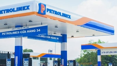 Цена на бензин сегодня 21.05.2025: Цена на сырую нефть резко выросла