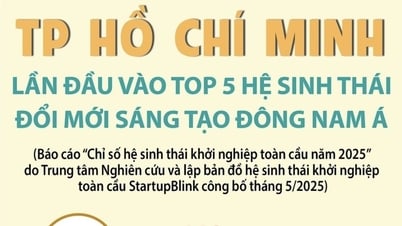Hô-Chi-Minh-Ville entre pour la première fois dans le top 5 des écosystèmes d'innovation en Asie du Sud-Est - Lang Son Newspaper and Radio and Television