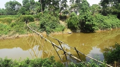 Die Bambusbrücke und der Traum, die beiden Ufer des Nhung-Flusses zu verbinden