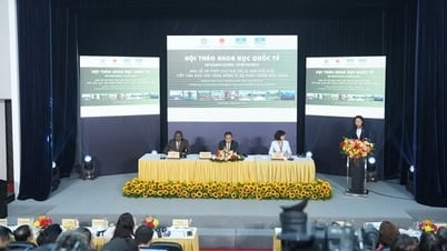 Relying on the community to protect and promote the value of world heritage in Vietnam