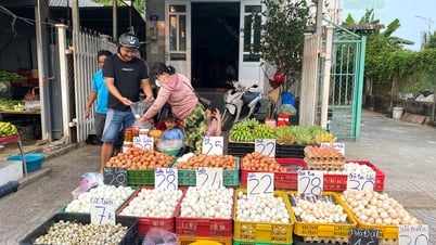 Falsche Gerüchte über gefälschte Eier müssen streng behandelt werden