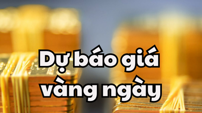 Tin tức, dự báo giá vàng ngày mai 22/5/2025 giá vàng trong nước và thế giới tạo tiếp cơn sốt mới