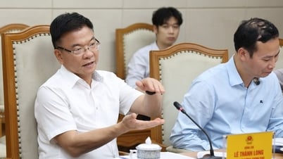 Der stellvertretende Premierminister Le Thanh Long leitete eine Sitzung zum Thema Dezentralisierung und Machtdelegation im Justizsektor.