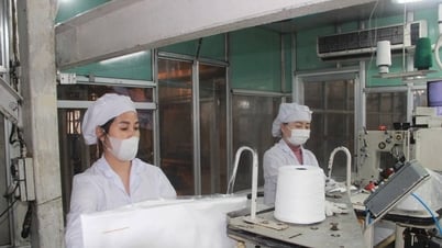 Ngành Thuế thông báo về việc tạm dừng các hệ thống công nghệ thông tin