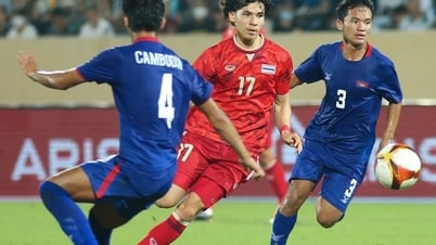Vì sao cầu thủ gốc Âu 'đổ bộ' đội tuyển Thái Lan, Indonesia?