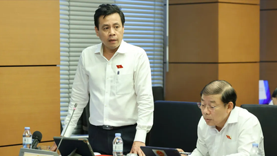 투자 정책을 여러 번 조정해야 하는 책임을 명확히 함