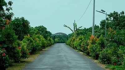 'Smart Village' model contributes to the development of digital economy and digital society in Dong Thap