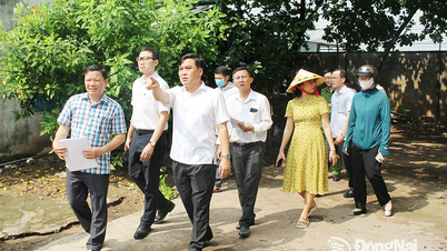 Quyết tâm hoàn thành giải phóng mặt bằng hơn 350 hộ dân tại Khu công nghiệp Biên Hòa 1 trước ngày 1-7