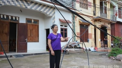 Lộc Bình: Dây cáp viễn thông “bẫy” trước cửa nhà dân - Báo và Đài Phát thanh Truyền hình Lạng Sơn