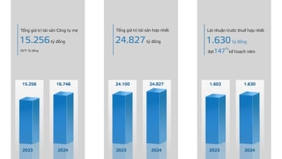 NĂM 2025, VIGLACERA ĐẶT MỤC TIÊU LỢI NHUẬN HỢP NHẤT 1.743 TỶ ĐỒNG - Tổng công ty Viglacera