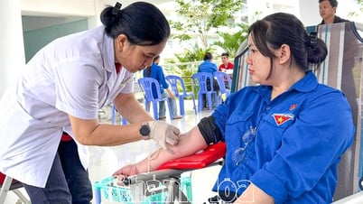 Spreading the voluntary blood donation movement among students