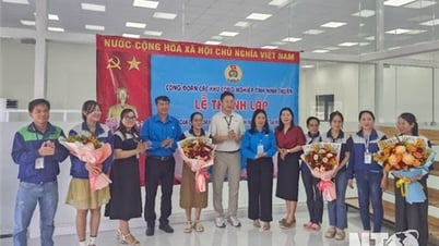 សហជីព​សួន​ឧស្សាហកម្ម​ជំរុញ​ការ​បង្កើត​សហជីព​មូលដ្ឋាន និង​អភិវឌ្ឍ​សមាជិក​សហជីព។