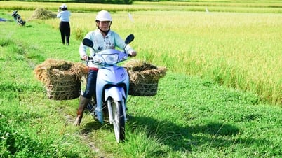 Thời tiết Nghệ An ngày 22/5: Ngày nắng nóng, chiều tối và đêm mưa rào vài nơi