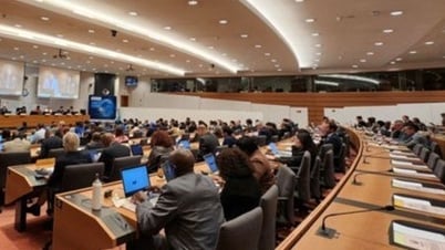 Việt Nam tiếp tục được tín nhiệm tái cử Chủ tịch PTC của WCO nhiệm kỳ 2025 - 2026