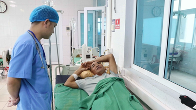 Lai Châu: Một người đàn ông bị ngộ độc suýt chết do ăn nấm lạ