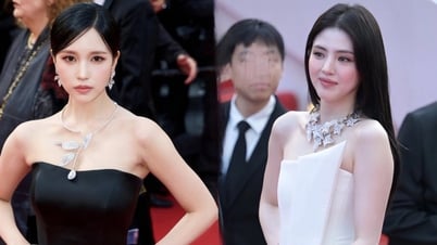 តារា​អាស៊ី​នៅ​ទីក្រុង Cannes៖ ខ្លះ​ត្រូវ​បាន​គេ​សរសើរ ខ្លះ​ត្រូវ​បាន​ទាត់​ចេញ​ពី​កម្រាល​ព្រំ​ក្រហម