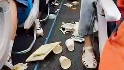 난류로 인해 비행기가 심하게 흔들렸고, 기내에는 음식이 쏟아졌습니다.