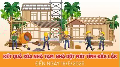 (Infographie) Dak Lak a éliminé 3 959 maisons temporaires et délabrées.