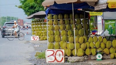 Sầu riêng miền Tây bán lề đường chỉ 30.000 đồng/kg
