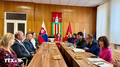 Activités spéciales pour commémorer le président Ho Chi Minh en Slovaquie et au Chili