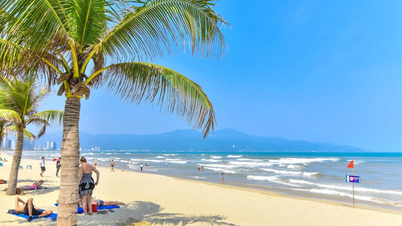 Top 5 trải nghiệm du lịch biển Đà Nẵng: Thiên đường biển miền Trung ấn tượng nhất