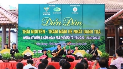 Thai Nguyen – Hundert Jahre bester Tee: Die Reise zur Bewahrung der Identität und zur Erschließung der Welt