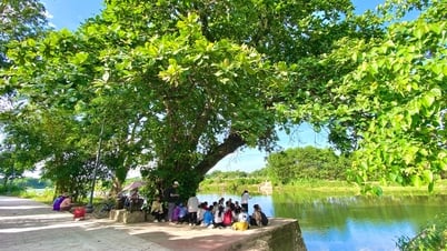 Bei der Renovierung des Wasseranlegersystems im alten Dorf Phuoc Tich muss eine Betonierung vermieden werden