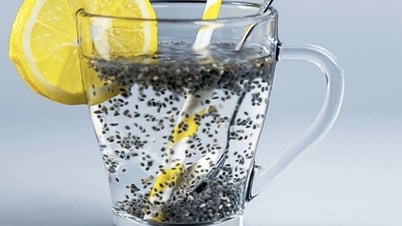 Ist Chiasamenwasser wirklich gesund?