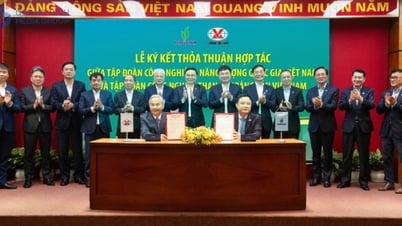 TKVが包括的協力を拡大