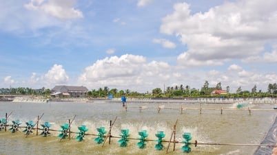 Khó đủ đường