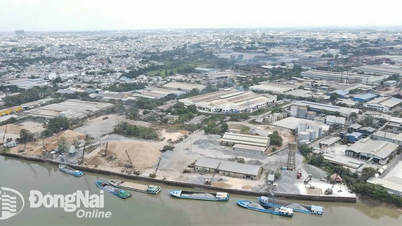 25 enterprises have stopped production and are leasing factories in Bien Hoa 1 Industrial Park to 67 other establishments and enterprises.