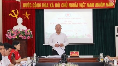 La Cruz Roja de la Ciudad implementa numerosos programas prácticos en el Mes Humanitario 2025