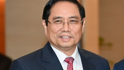 List of members of the Steering Committee on Regional and International Financial Centers in Vietnam