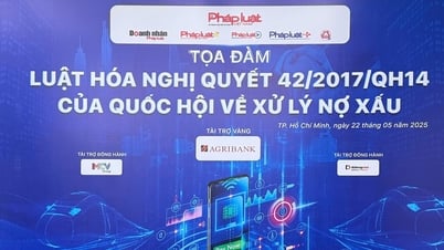 Семинар на тему «Урегулирование некоторых вопросов в духе резолюции 42/2017/QH14 Национального собрания об урегулировании проблемной задолженности»