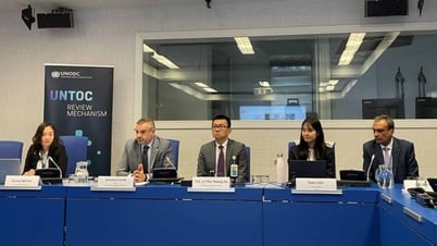 Vietnam y la ONUDD coorganizan un taller sobre el mecanismo de examen de la aplicación de la Convención de las Naciones Unidas contra la Delincuencia Organizada Transnacional