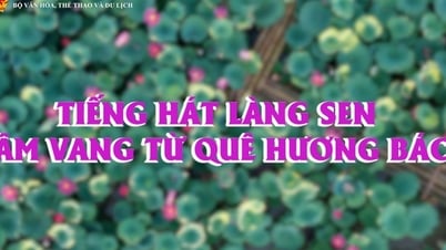 센 빌리지 싱잉 - 호 삼촌의 고향에서 들려오는 메아리