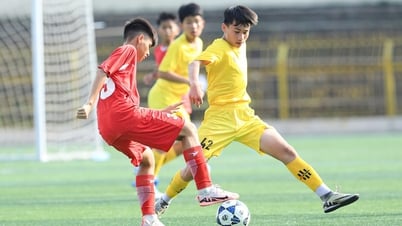 U.13 T&T Cup 2025: объединение экосистемы молодежного футбола Вьетнама