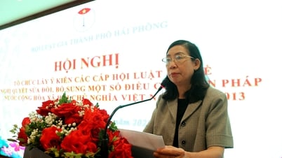 L'Association des avocats de la ville commente le projet de résolution modifiant et complétant la Constitution de la République socialiste du Vietnam en 2013