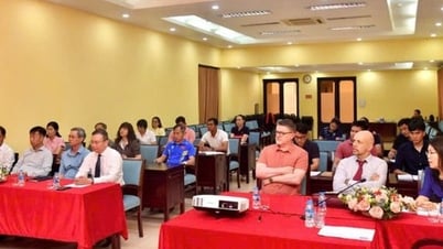 Promouvoir l'application des technologies de l'information dans la formation sportive