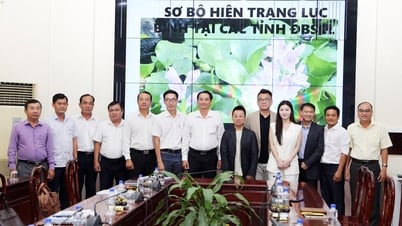 Vice Chairman of the Provincial People's Committee Nguyen Quynh Thien works with investors on water hyacinth treatment on the river.