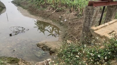 Kinh Môn đầu tư hơn 28 tỷ đồng tu bổ đê điều