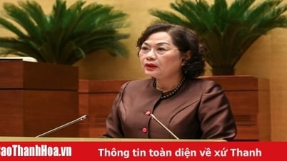 Đề xuất Ngân hàng Nhà nước toàn quyền quyết định cho vay đặc biệt lãi suất 0%