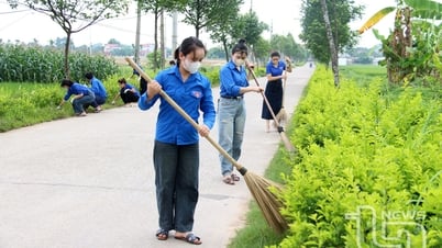 Los jóvenes de Phu Binh se unen para proteger el medio ambiente